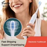 6 Modes Sonic Waterproof Electronic Toothbrush Oral Care USB Rechargeable Tooth Whitening Cleaner with 4 Replacement Heads Adult