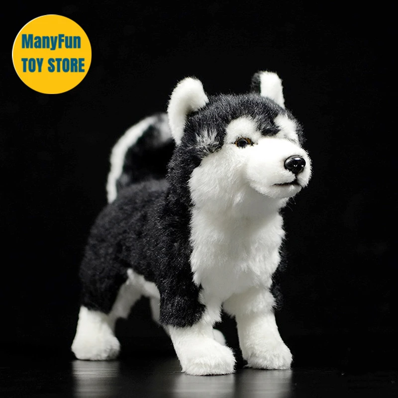 Odd Eyes Husky Dog Plush Toy High Fidelity Eskimo Dog Plushie Dogs Peluche Lifelike Stuffed Animals Simulation Doll Kawai Toys