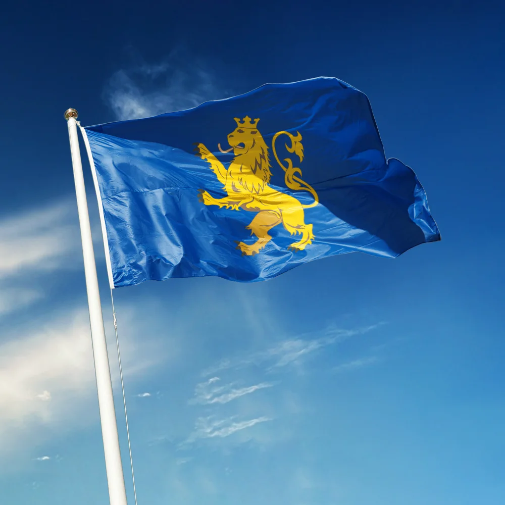 3x5 Ft Lviv Oblast Flag Vivid Color an oblast of Ukraine Flags Polyester with Brass Grommets