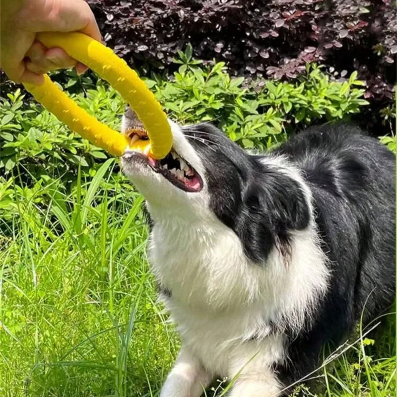 Thumbnail 3 - #24 Dog Fetch Toys List of Top Picks