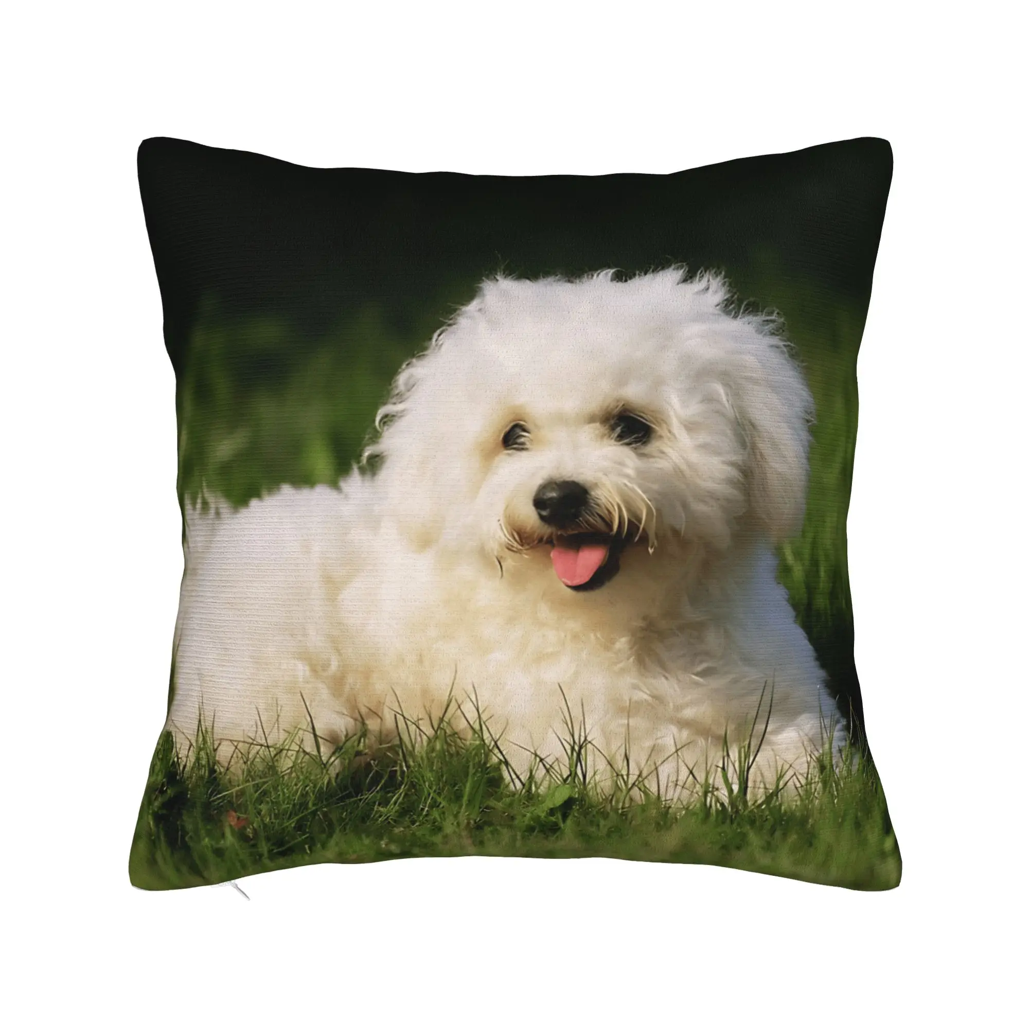 Cute Bichon Frise Pillow Case  Soft Pillow Cover Morden Cushion Cover For Living Room Bed Chair