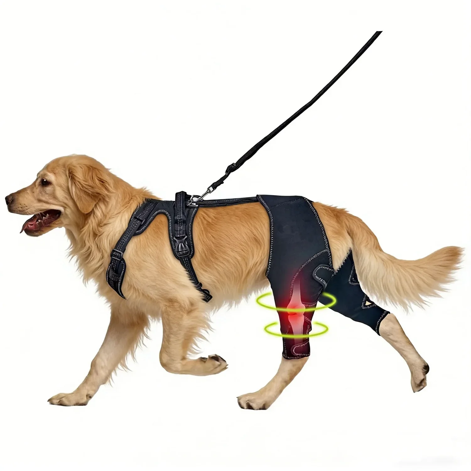 supporto-per-ginocchio-di-cane-per-zampa-posteriore-con-corda-di-trazione-design-acl-regolabile-per-dolore-articolare-zampa-posteriore-con-imbracatura-integrata