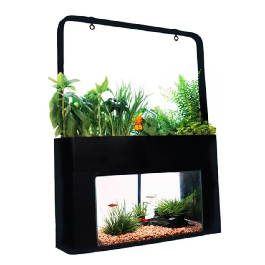 SelfSustaining Desktop Aquaponics Garden Kit for Indoor Use Compatible with Standard 10Gallon Aquariums Combines Hydroponic Pla