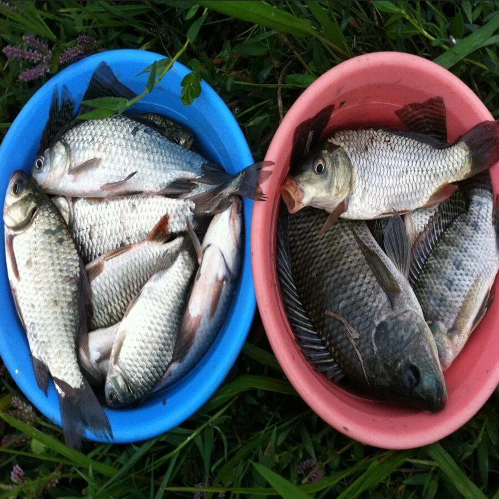 الصيد الليلي المضيء ، إغراء البلمة ، الطعم الصلب ، خطاف السمك ، إكسسوار صناعي ، خطافين ، إغراء 82 ، 8 جم