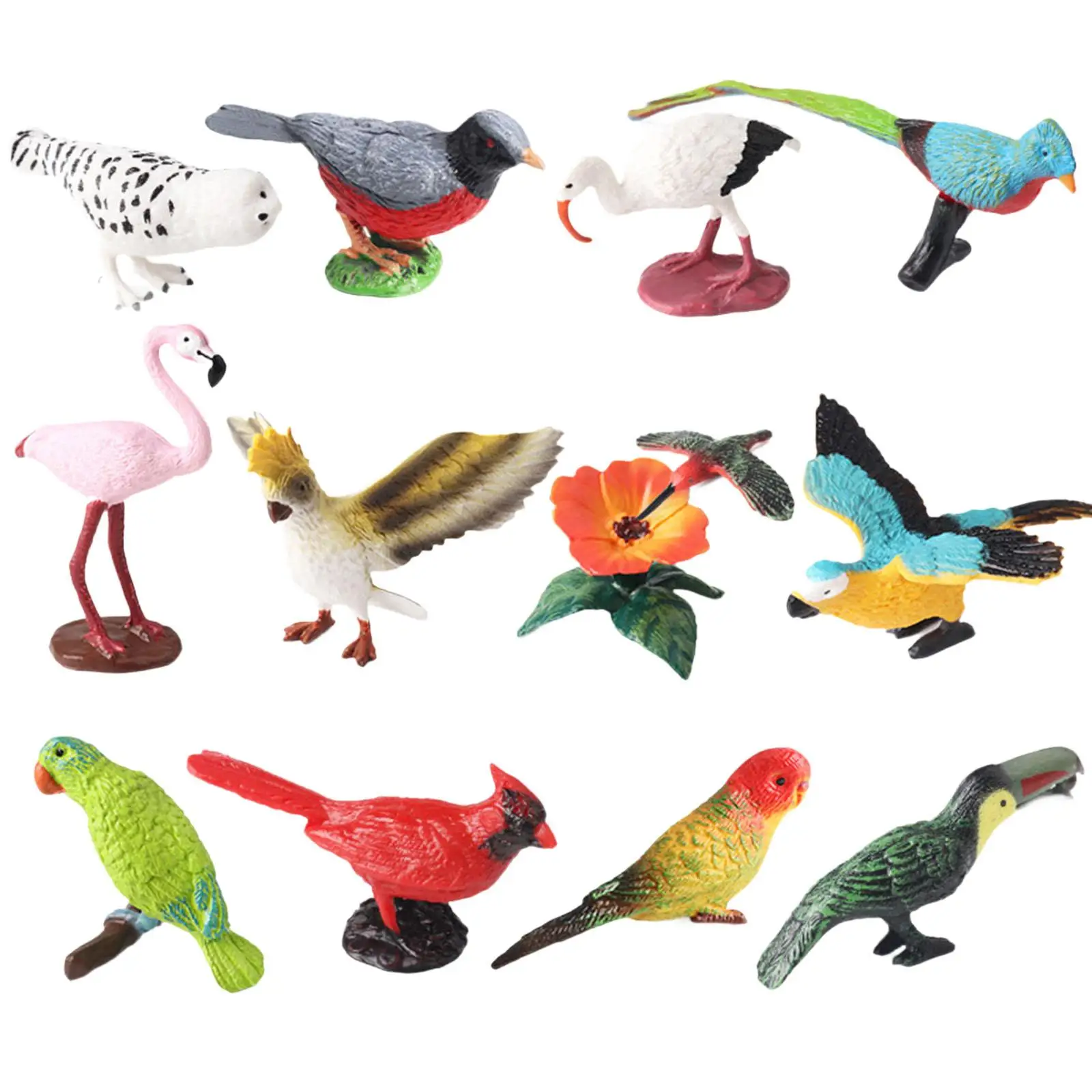 12 figurine di uccelli in miniatura modello animale realistico set di simulazione in miniatura