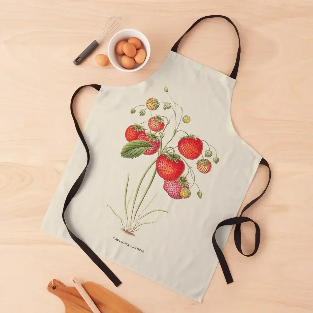 

Strawberry Antique Botanical Illustration Apron esthetician For Nail Stylist Woman Kitchens Kitchen Women Apron