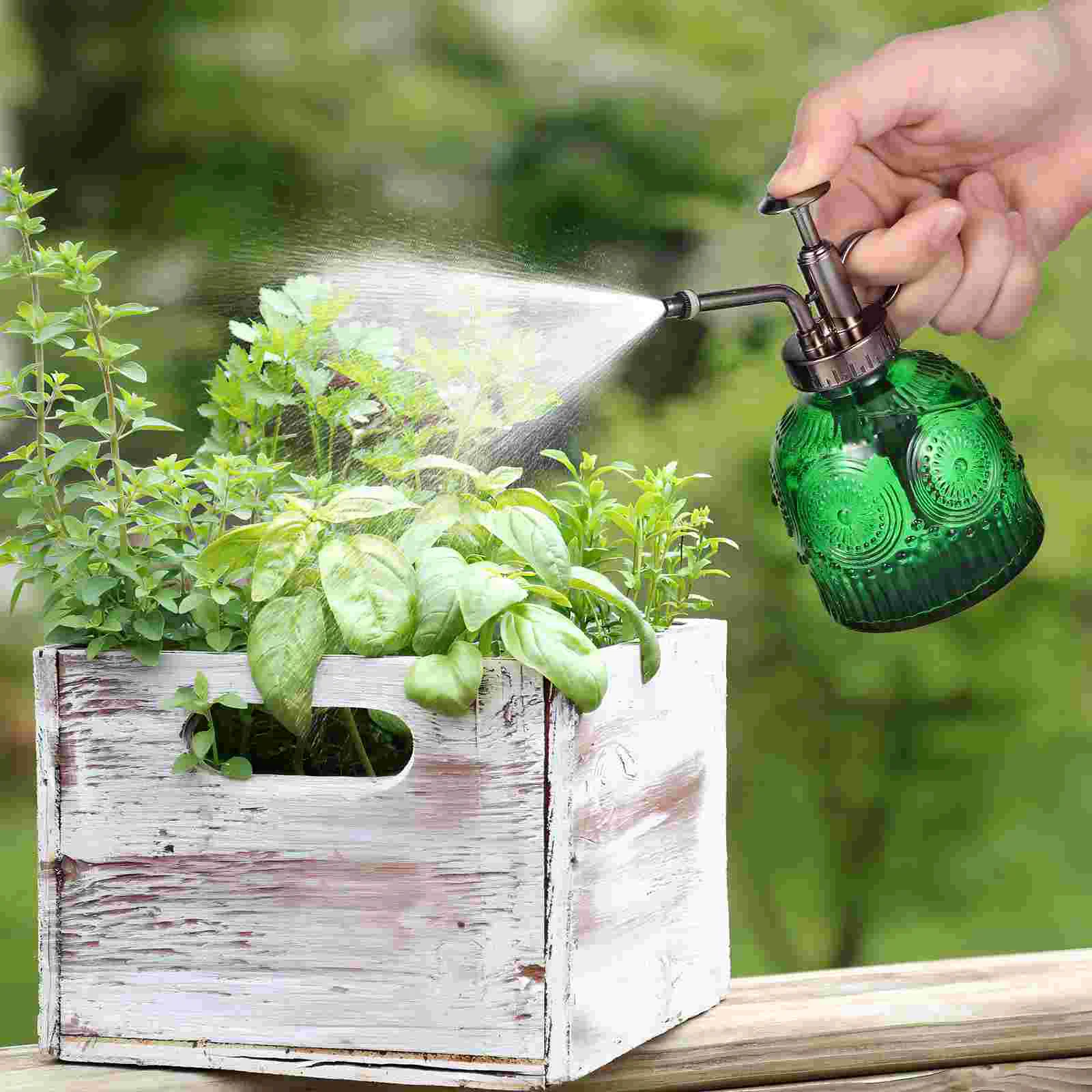 Glass Watering Can Plant Mister Spray Sprayer Bottle Kettle Bottles For Plants Small