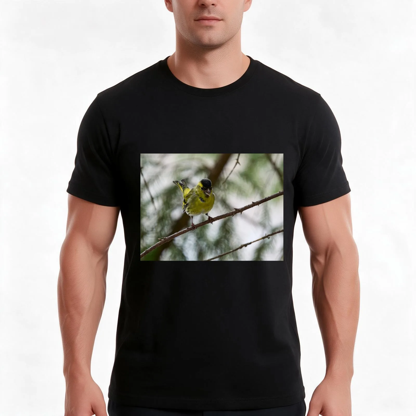 Tweeting Siskin T-Shirt, Summer Casual Cotton Tee, Oversized Streetwear Tops, Vintage Graphic Print, Loose Fit Short Sleeve