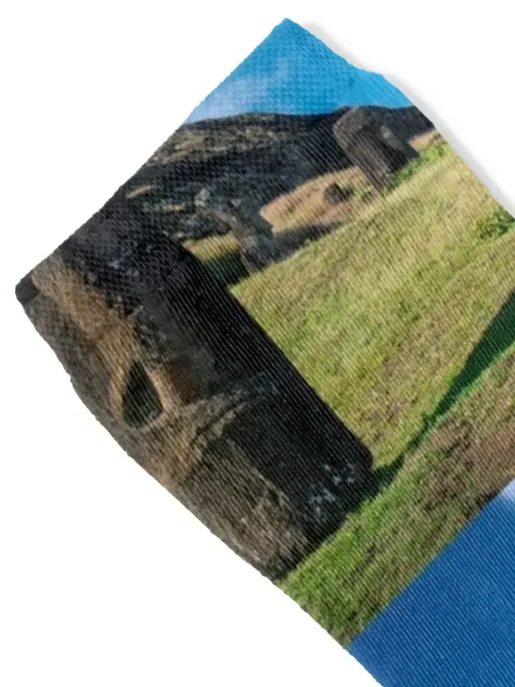 Moai on Easter Island Socks man Climbing compression happy Socks Ladies Men's