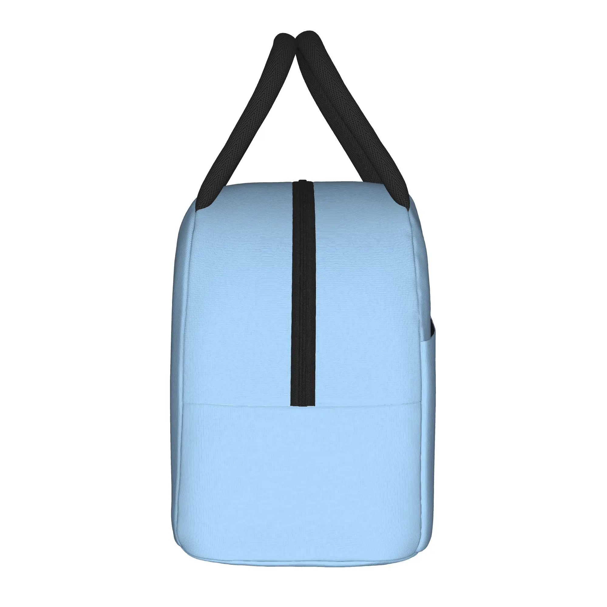 P-Pudgy Penguin Insulated Lunch Bags Large CUTE  Lunch Container Cooler Bag Tote Lunch Box College  Travel Bento Pouch