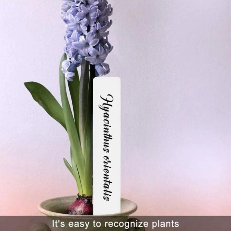A23E-Garden Plant Labels, 5Cm, 100Pcs Durable Tags For Easy Plant Identification, Perfect For Gardeners And Plant Enthusiasts