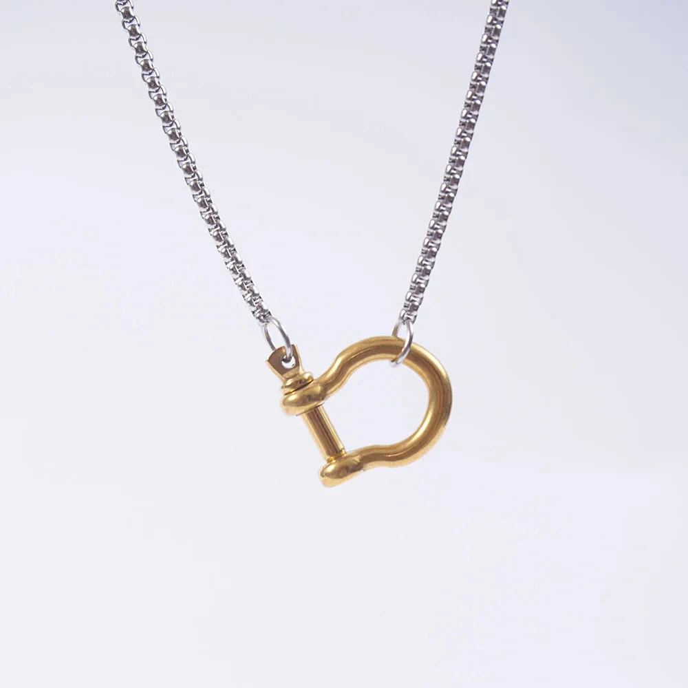 Stainless Steel Horseshoe Box Chain Necklace For Women Gold/Silver Color Color Metal Spiral Clasps Chain Necklaces Choker