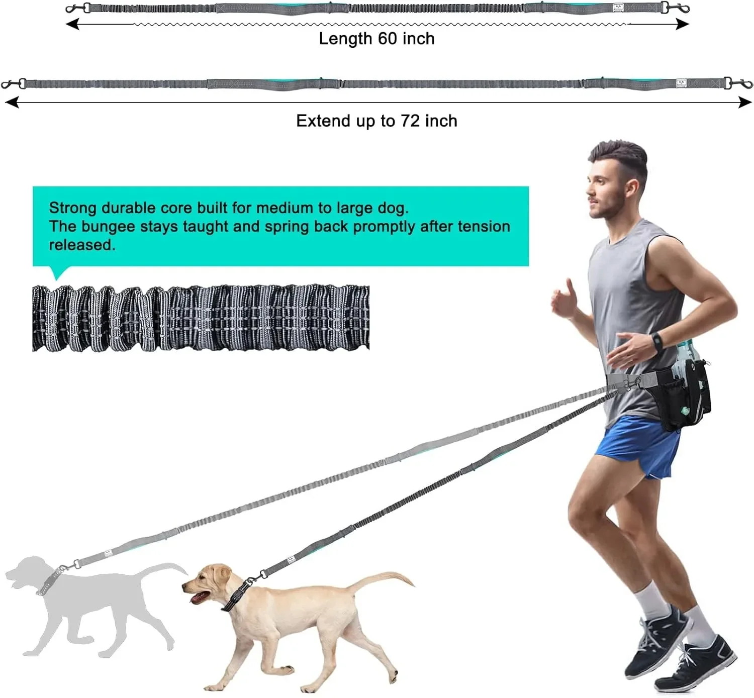 Adjustable Waist Belt Bag, Training Pouch with Retractable Hands Free Dog, Reflective Stitching Leash for Running Walking Hiking