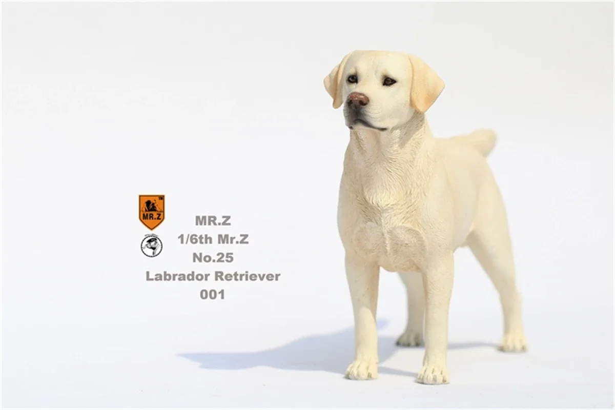 Mr.Z Studio 1:6 Labrador Retriever Loyal Dog Pet Figure Animal Decor Model Toy Kid Gift Play Peripheral Ornaments Decoration