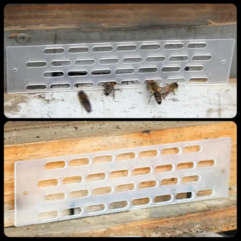 10 best sales मधुमक्खी पालक - №8