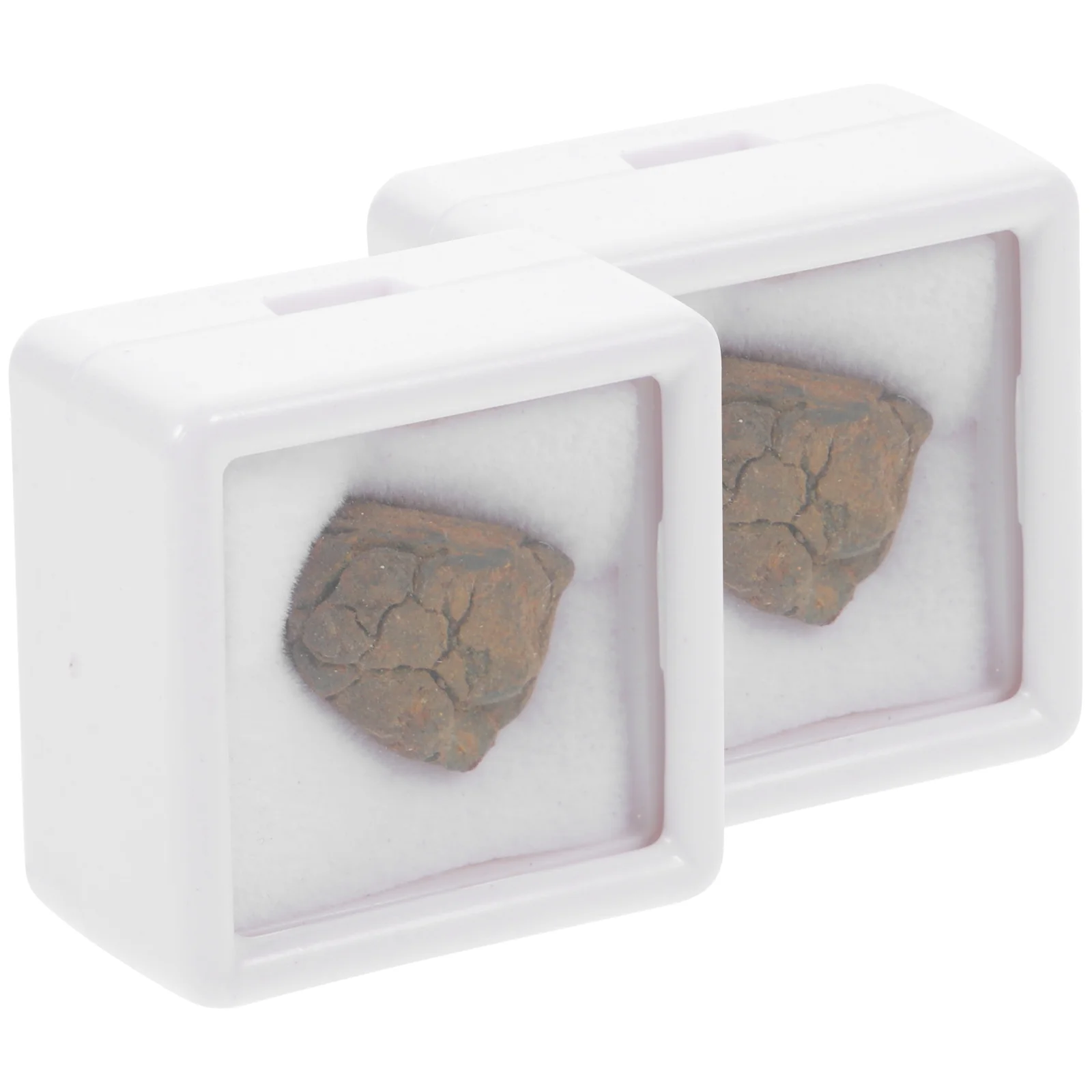 2 Pcs Olive Meteorite Teaching Adornment Educational Plaything Specimen Decoration Desktop Ornament Tool Child