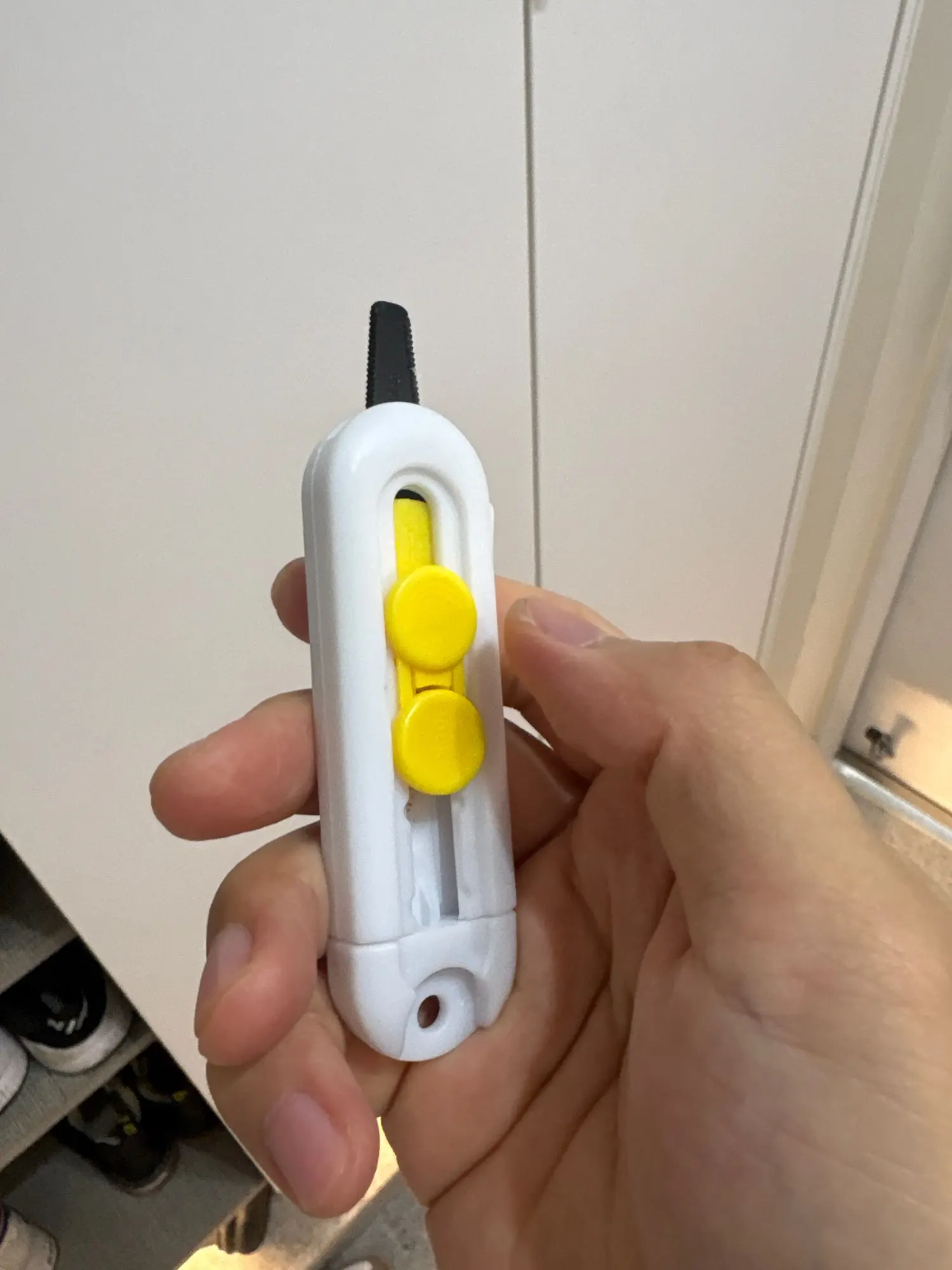 실물 포토 리뷰