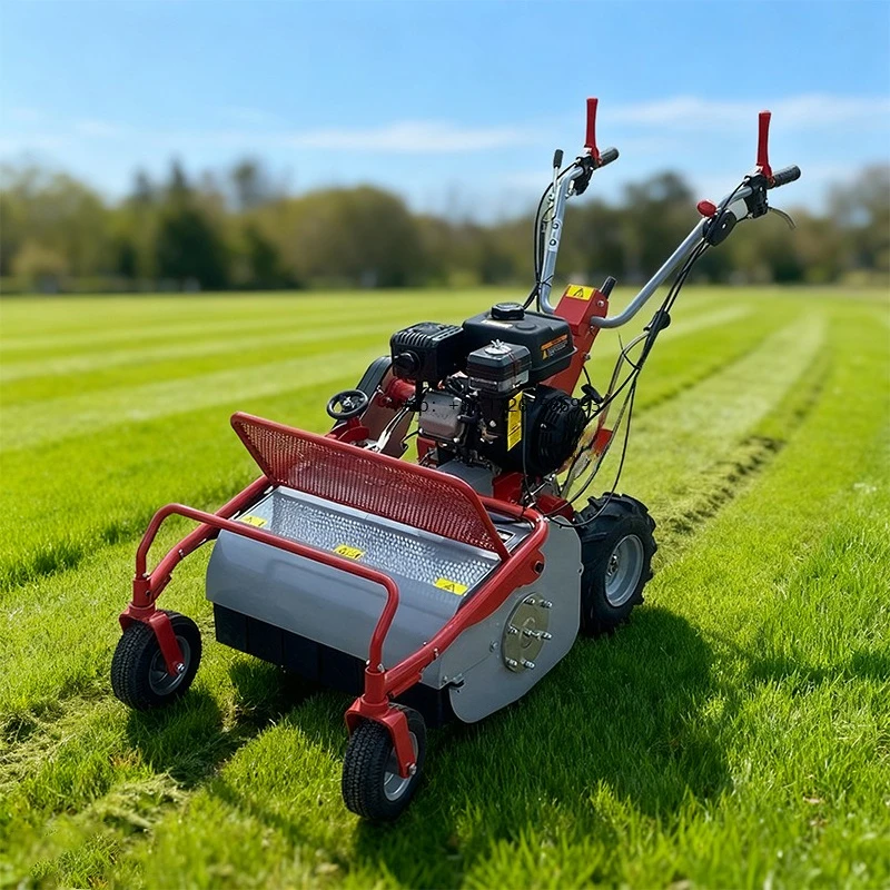 

Wholesale China Supply Grass Cutter Garden Hand-Push Crawler Lower Mower