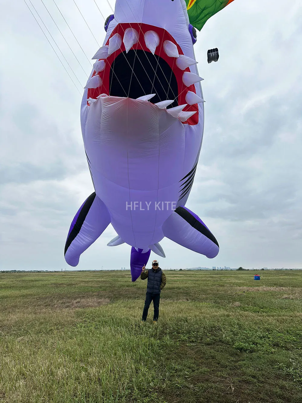 HFLY Nieuwe Collectie Giant 30m Shark Kite Hanger voor Volwassenen Hoge Kwaliteit Ripstop Nylon Dierenshow Vliegers Lijn Wasserij