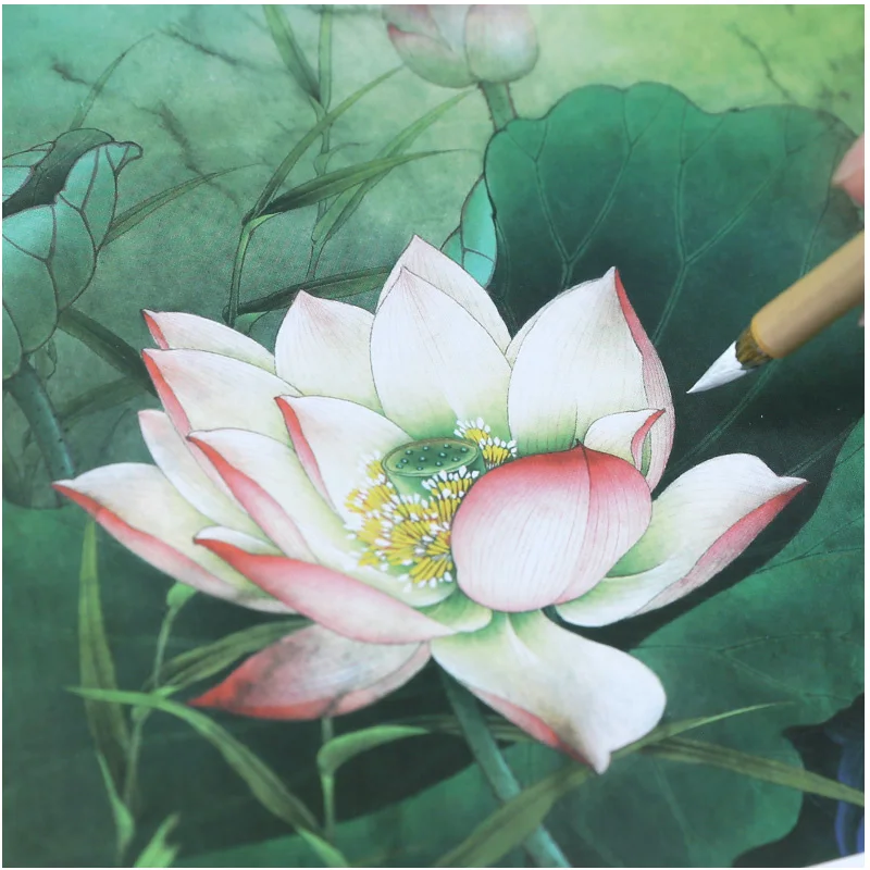 Lotus Flower Bird Peony Tutorial Traditional Chinese Painting Line Drafts Rice Paper Meticulous Painting Line Drawing Manuscript