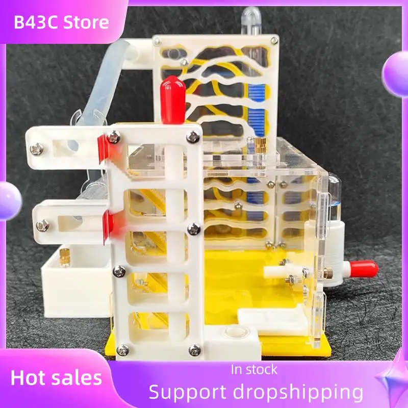 

B14C Ant Hotel With T Design - DIY Acryl Ant Farm, Integrated Feeding Area, Elegant House Anthill, B