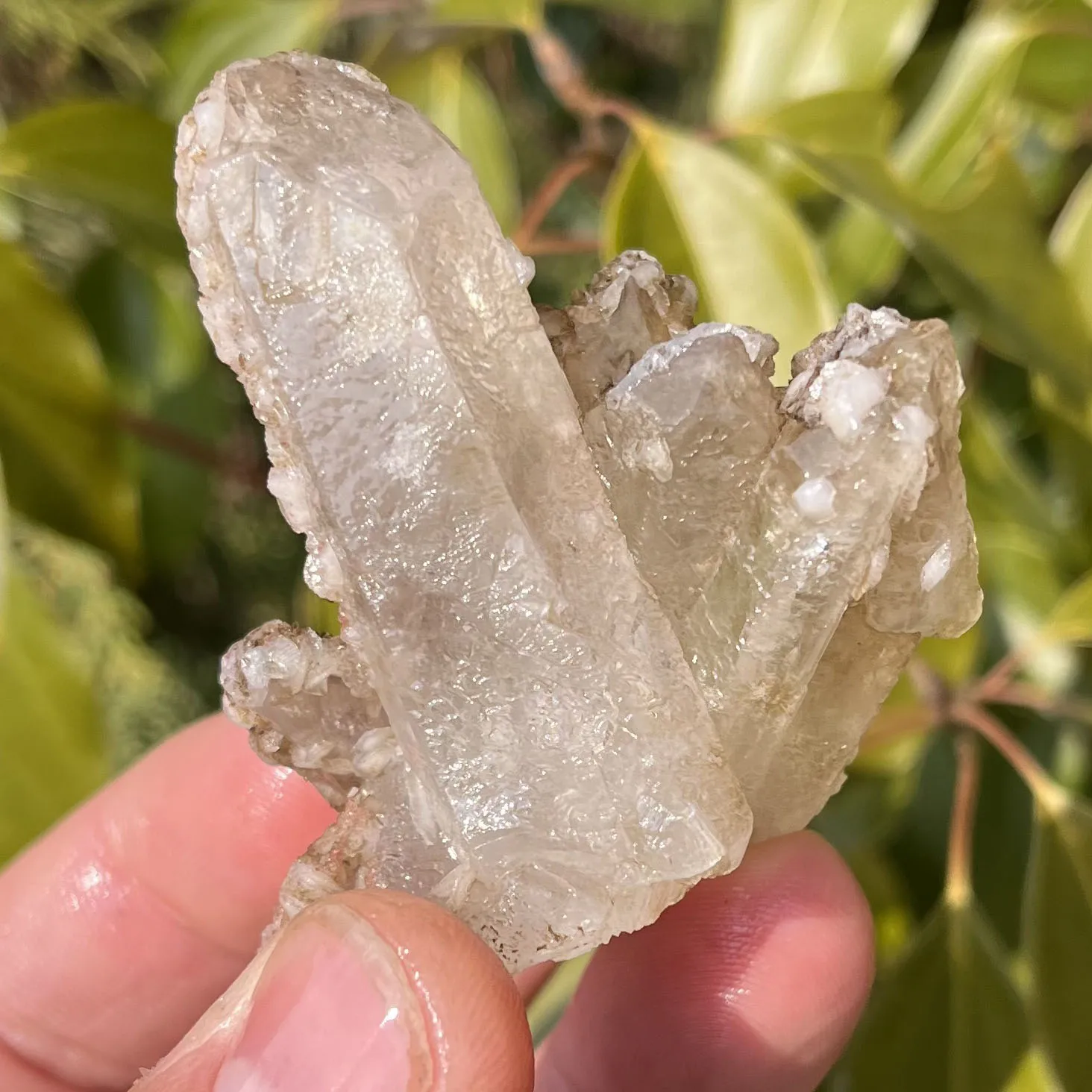 

Natural white crystal and calcite symbiotic crystal cluster specimen Feng Shui energy healing stone home decoration