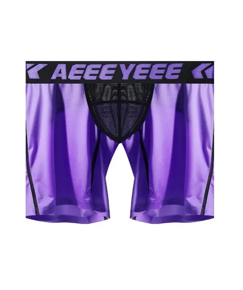 

Men's Underwear boxer ultra-thin transparent ice silk low waisted youth Mesh transparent traceles Sport pants A704