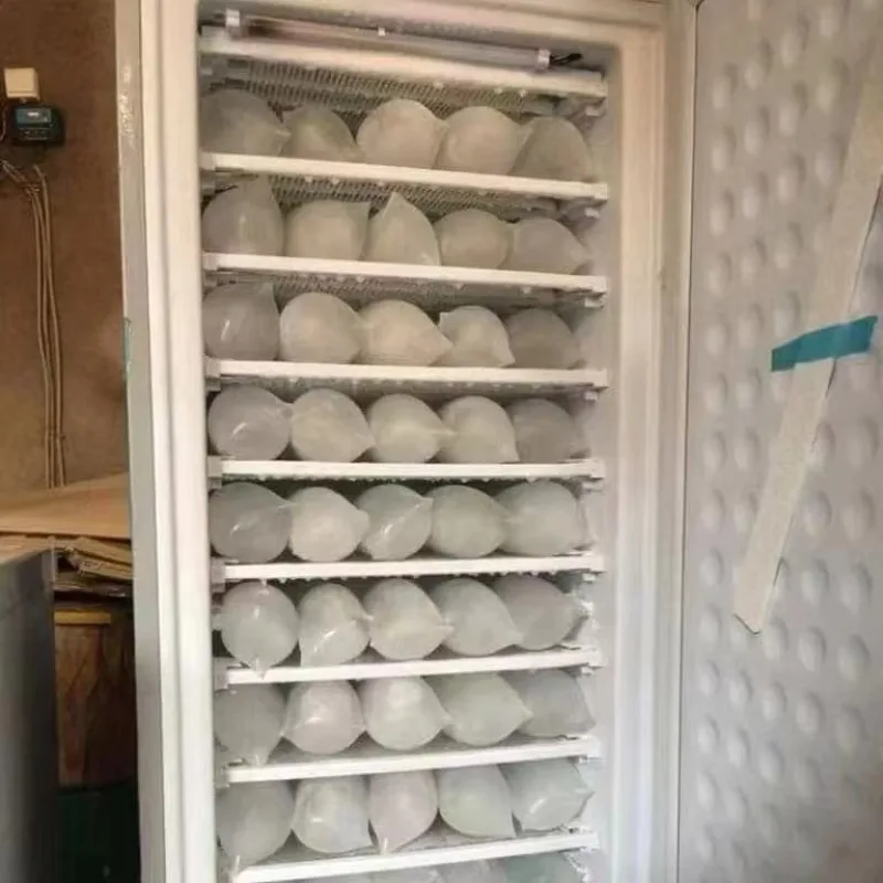 12V/24V DC Solar Upright Freezer, Fast Freezing Ice Cube Machine For Off‑Grid Energy System
