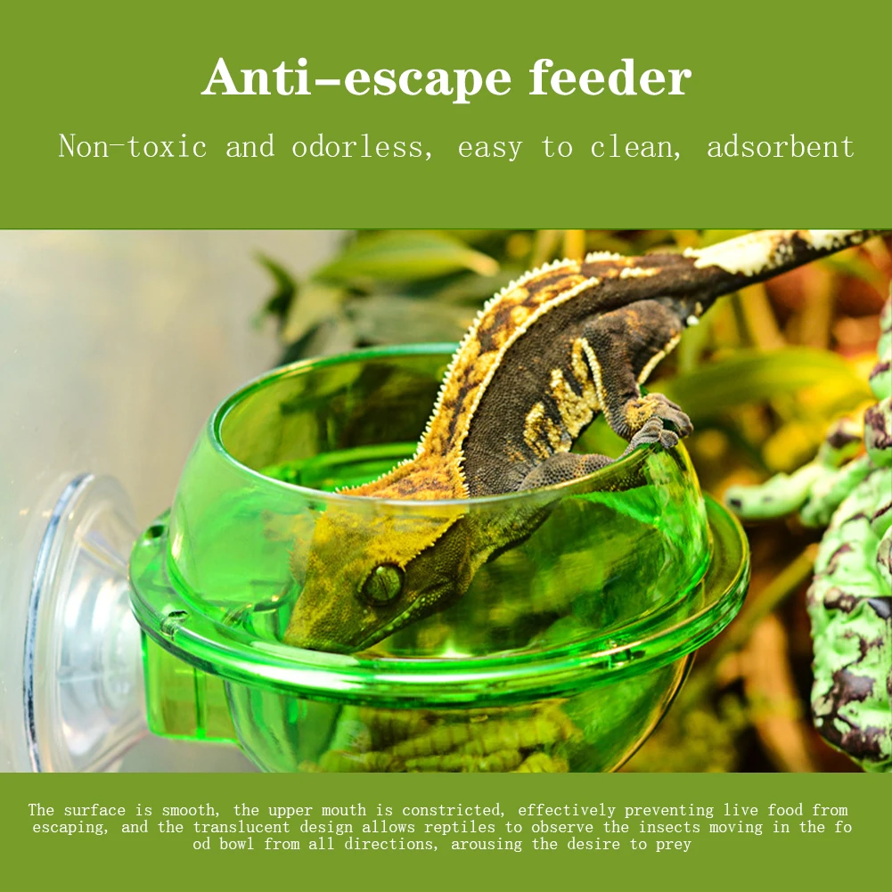 Suction Cup Reptile Feeder Chameleon Feeding Food Bowl Escape Proof Worm Dish Reptile Ledge Accessories Supplies