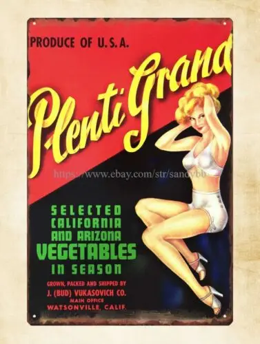 Plenti Grand – panneau en métal avec image de fille pin-up, décoration pour la maison