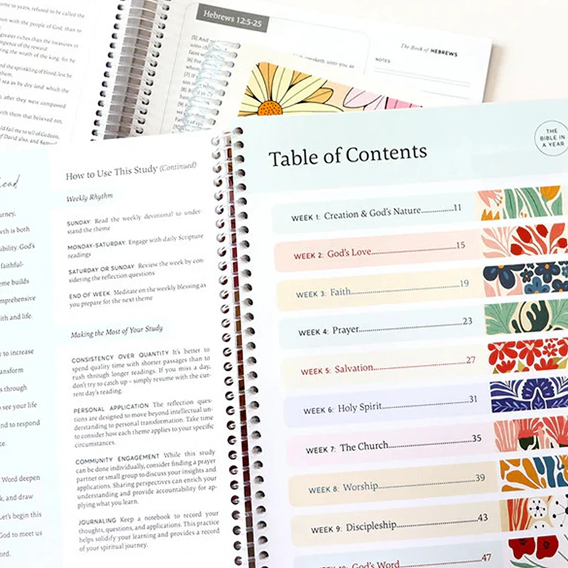 

The Bible in a Year: 52-Week Women's Study Guide - Spiral-Bound, Weekly Plan Through God's Word