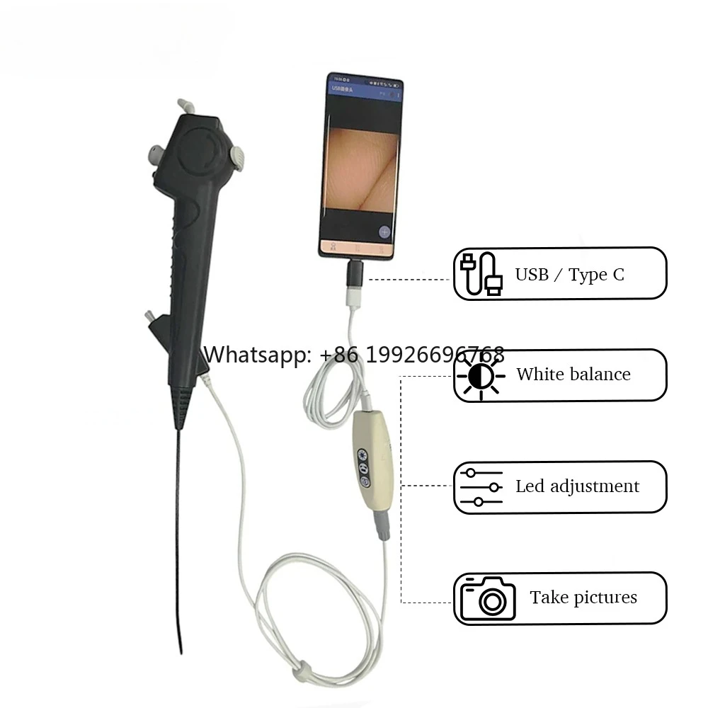 

Гибкий USB-цифровой цистоскоп с мини-камерой, 400*400 пикселей, одноразовый ветеринарный эндоскоп по заводской цене