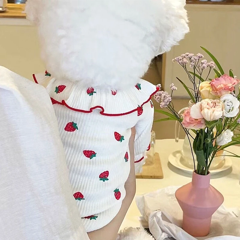 

Bichon Lace Strawberry Clothes Pet Teddy Summer Clothes Schoner Breathable Clothes Puppy Fruit Vest Dog Accessories