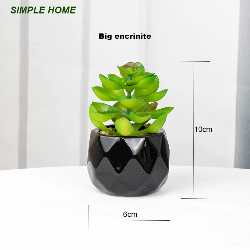 Künstliche saftige Bonsai-Pflanzen mit Keramiktopf für Raumdekoration, Bürotisch, Hausgarten-Dekoration – Detail 5