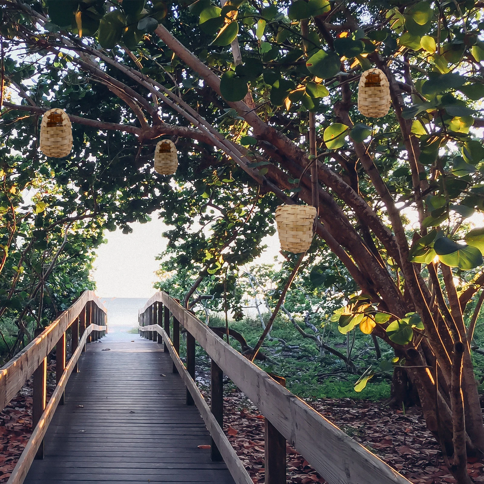 

6pcs Handwoven Bamboo Bird Nest Rustic Style Bird House Shelter For Outdoor Indoor Habitat Creative Nesting Spot