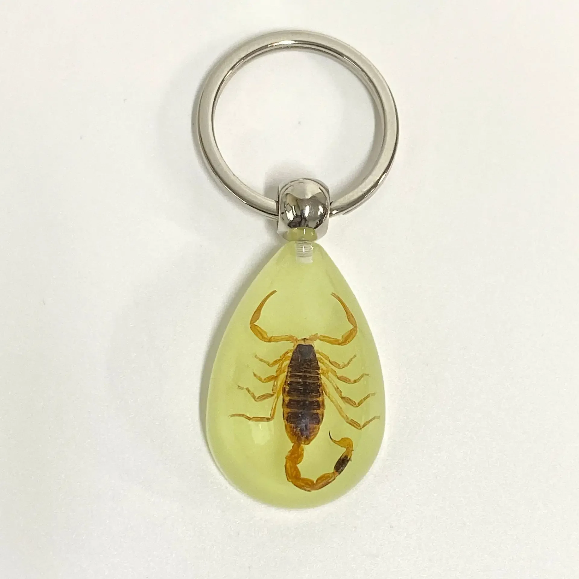 6 stuks insect specimen sleutelhanger, kunstmatige epoxyhars auto hanger, kantoorornament, insect amber hanger woondecoratie
