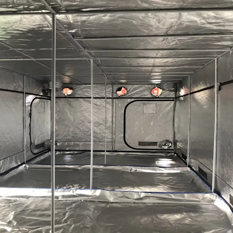 Customized 600x300x240cm Poly Greenhouse Modern Garden Nature Theme Easy Assembly Steel Darkroom Hydroponic Light Waterproof