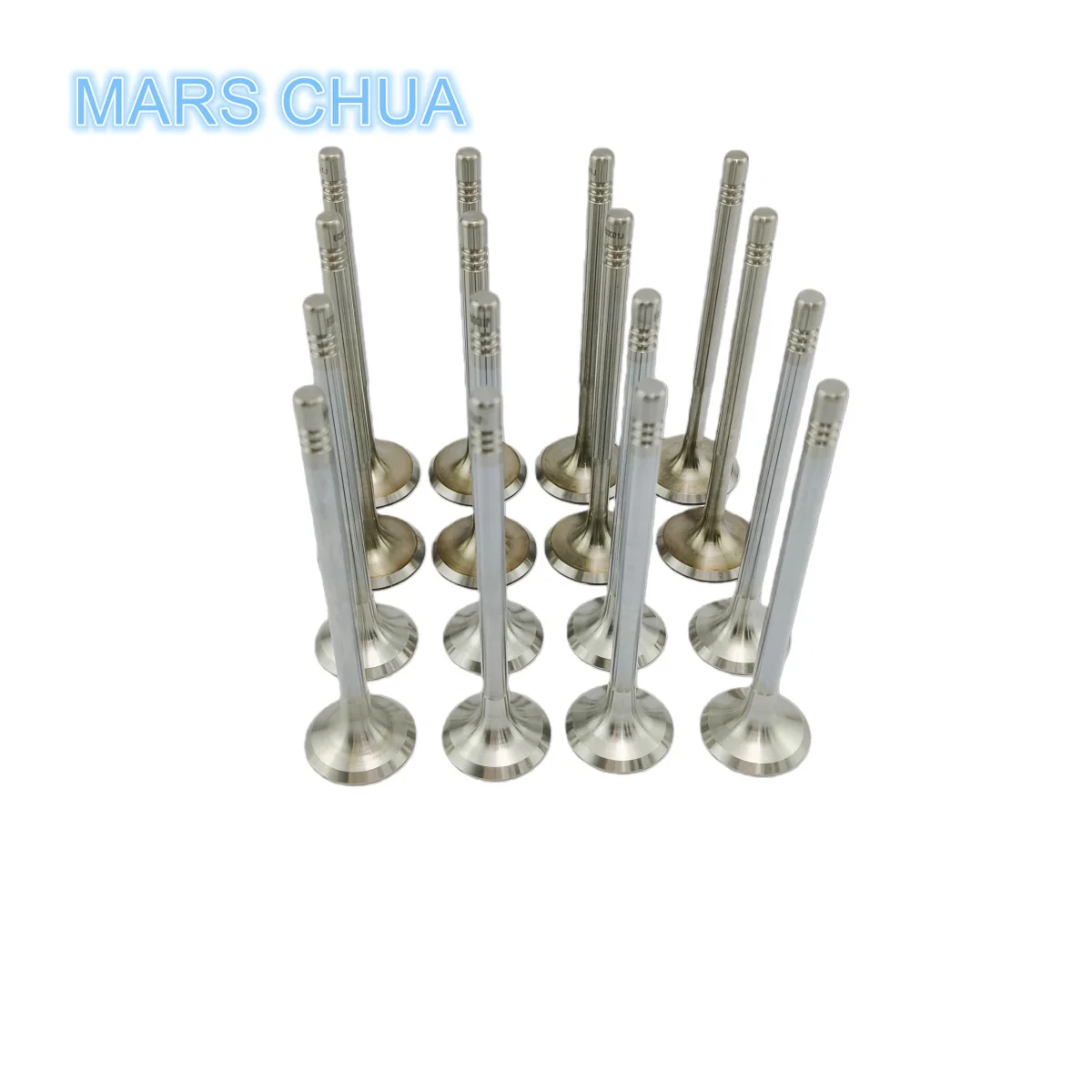 

1 комплект 036109601AL 036109611AE 036109601AD Впускные клапаны выпускного клапана для Volkswagen Beetle CC Passat Tiguan Sagitar