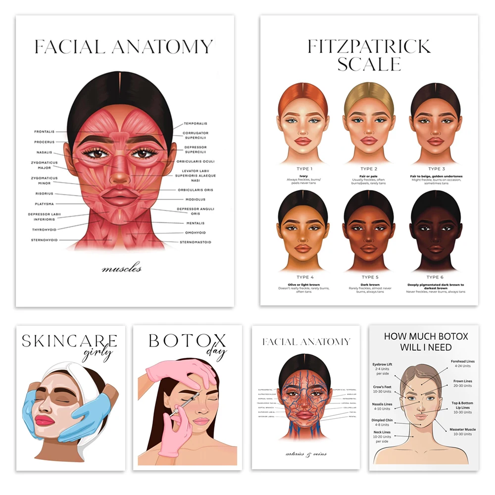 Facial muscles anatomy, veins, Fitzpatrick scale, nurse with syringe, anti-wrinkle treatment, spa poster, botox injection points