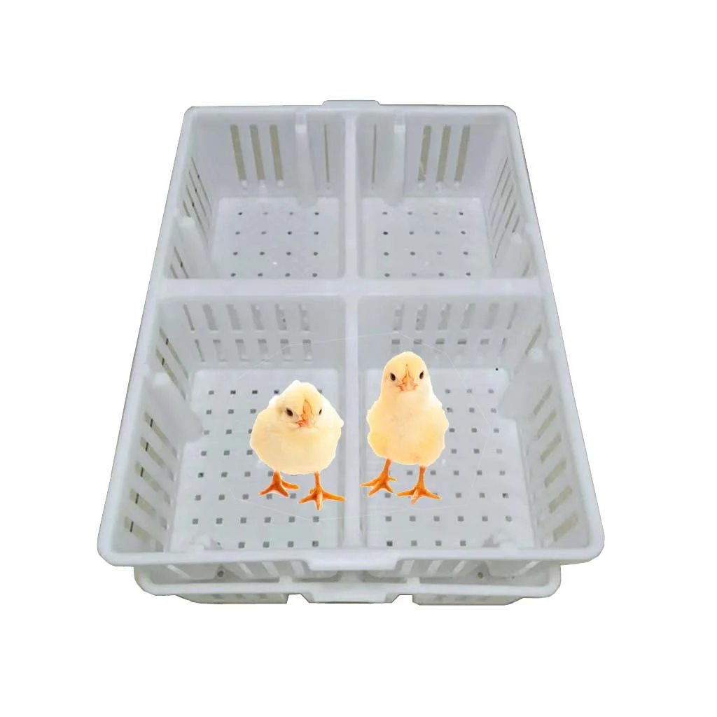 

Little Chicken Crates Plastic Transport Boxes Chicks Goose Quail Duck Transport Crates for Live Poultry