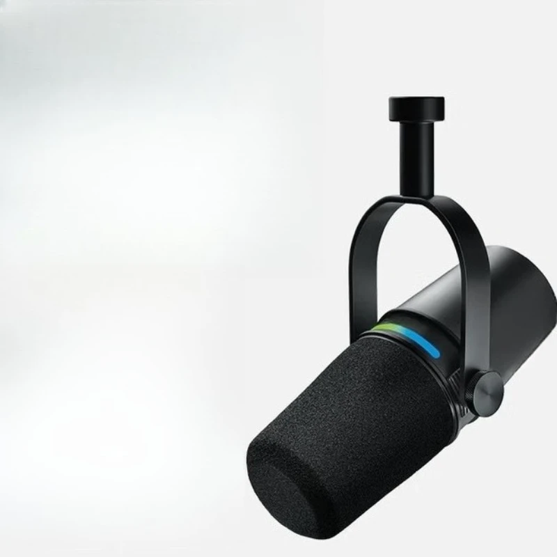 

Microphone Dual channel recording microphone Musical instrument live streaming host Karaoke voice over computer