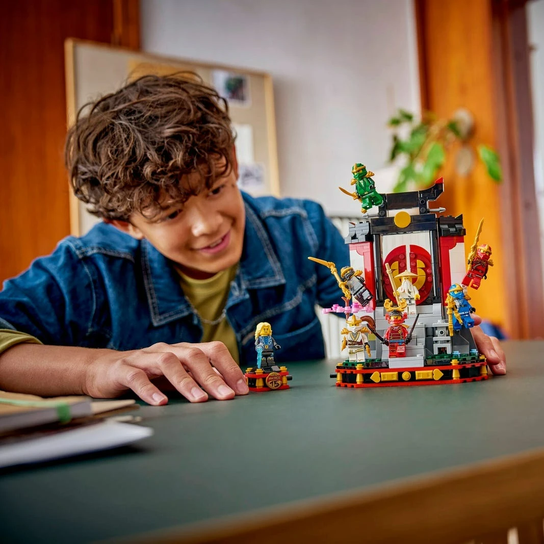 In Stock】LEGO® NINJAGO® TV Show with This Ninja Character Display