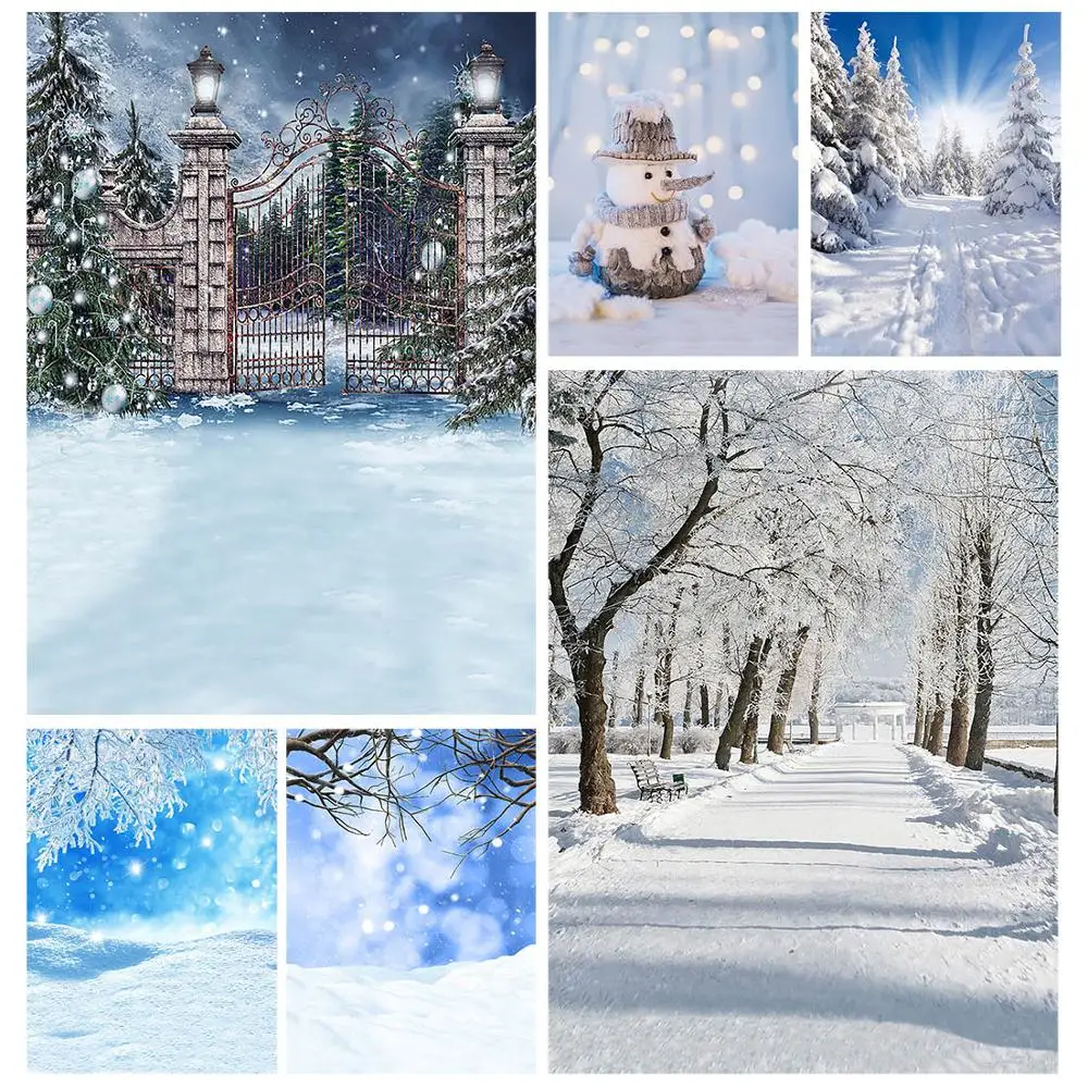 Winter Garden Gate …