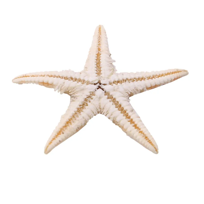 100 Pcs/pack New Simulation Natural Starfish Micro Landscape Decoration Hanging Photo Frames Candles Handicrafts Home Accessory