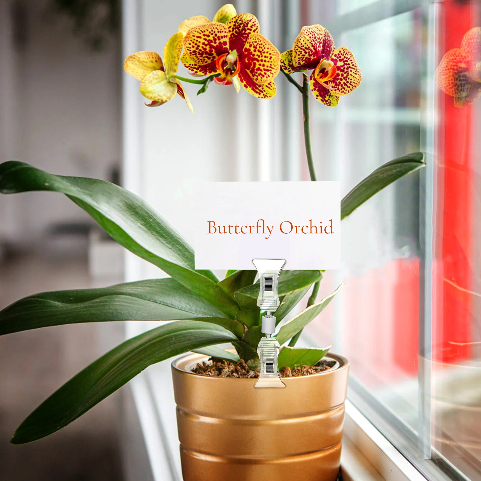 Clip bifacciale trasparenti da 20 pezzi Mini formato per etichette per cartellini Porta cartellini del prezzo Merce del negozio al dettaglio