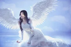 Big White Feather Angel Wing Women Shoot Accessories Anniversary Photography Creative Props Lady Posing Props Bendable