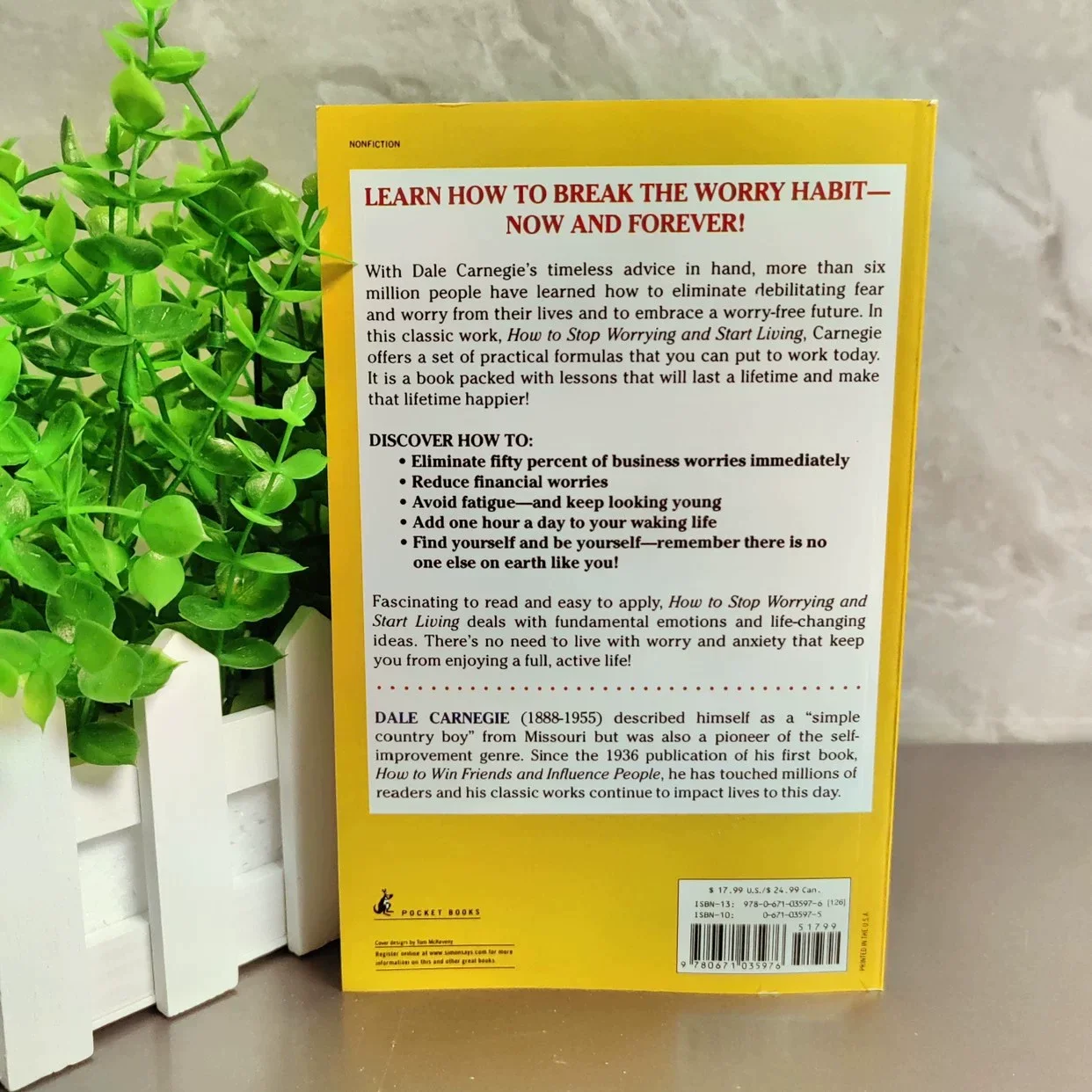 How to Stop Worrying and Start Living: Time-Tested Methods for Conquering Worry by Dale Carnegie Stress Management English Book