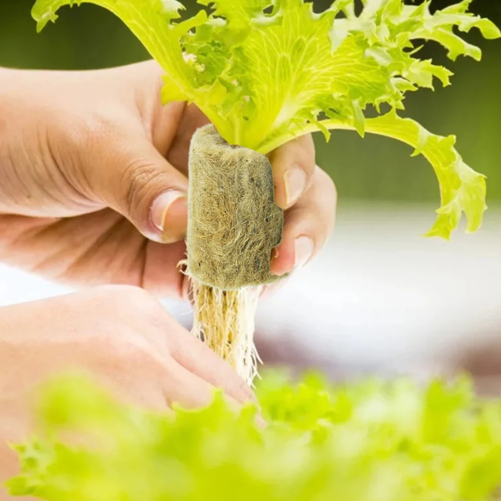 10/200Pcs Garden Seedling Grow Plug Round Rock Wool Starter Plugs Planting Block Soilless Substrate Pots Hydroponics Cuttings