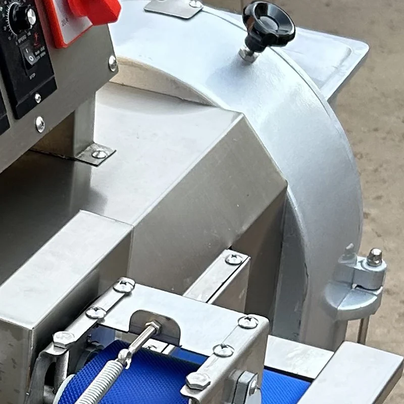 

500/KG/H Vegetable And Fruit Cutting Machine Coconut Slicing Dicing Shredding Machine Double-head Carrot Cutter