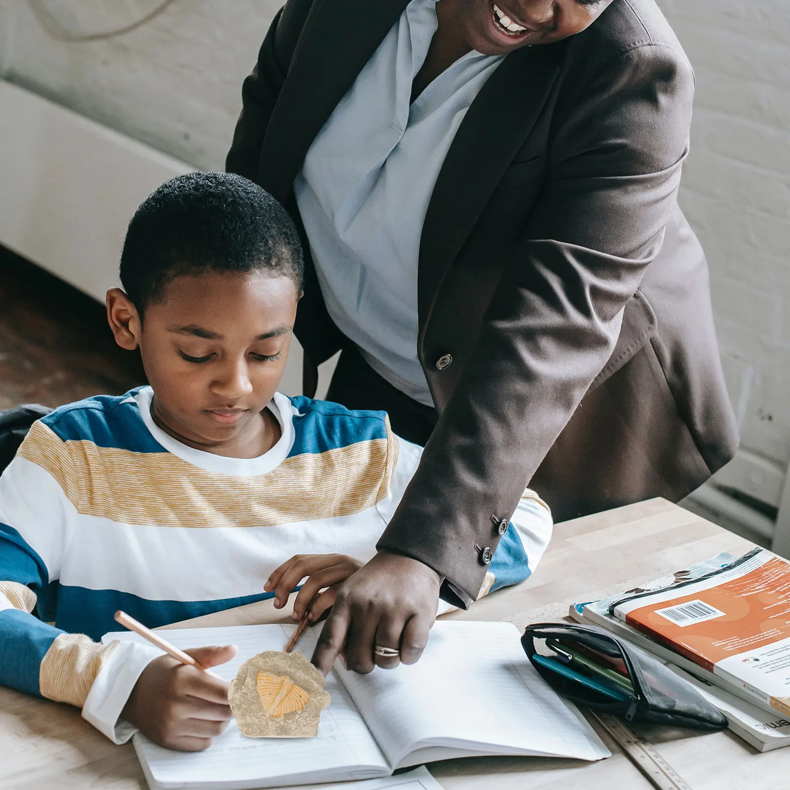 

Sample Trilobite Trilobite Sample Student Teaching Teaching Tool